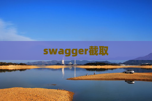 swagger截取